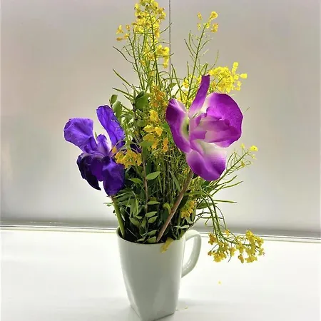 Sky & Sea Viewing * Vlorë