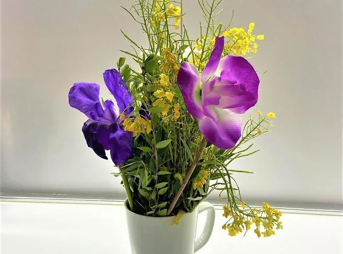 Sky & Sea Viewing * Wlora